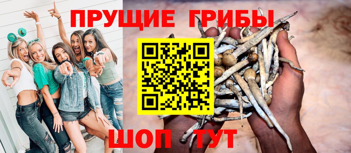 Галлюциногенные грибы MAGIC MUSHROOMS Кировск